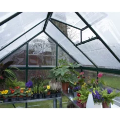 Palram 6 X 10ft Canopia Harmony Greenhouse - Green -Garden Outdoor Equipment Store 12810721 3524832988301431