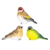 None Resin Blue Tit, Chaffinch & Robin Birds 1 None Resin Blue Tit, Chaffinch & Robin Birds -Garden Outdoor Equipment Store 12832873 1995025282271590