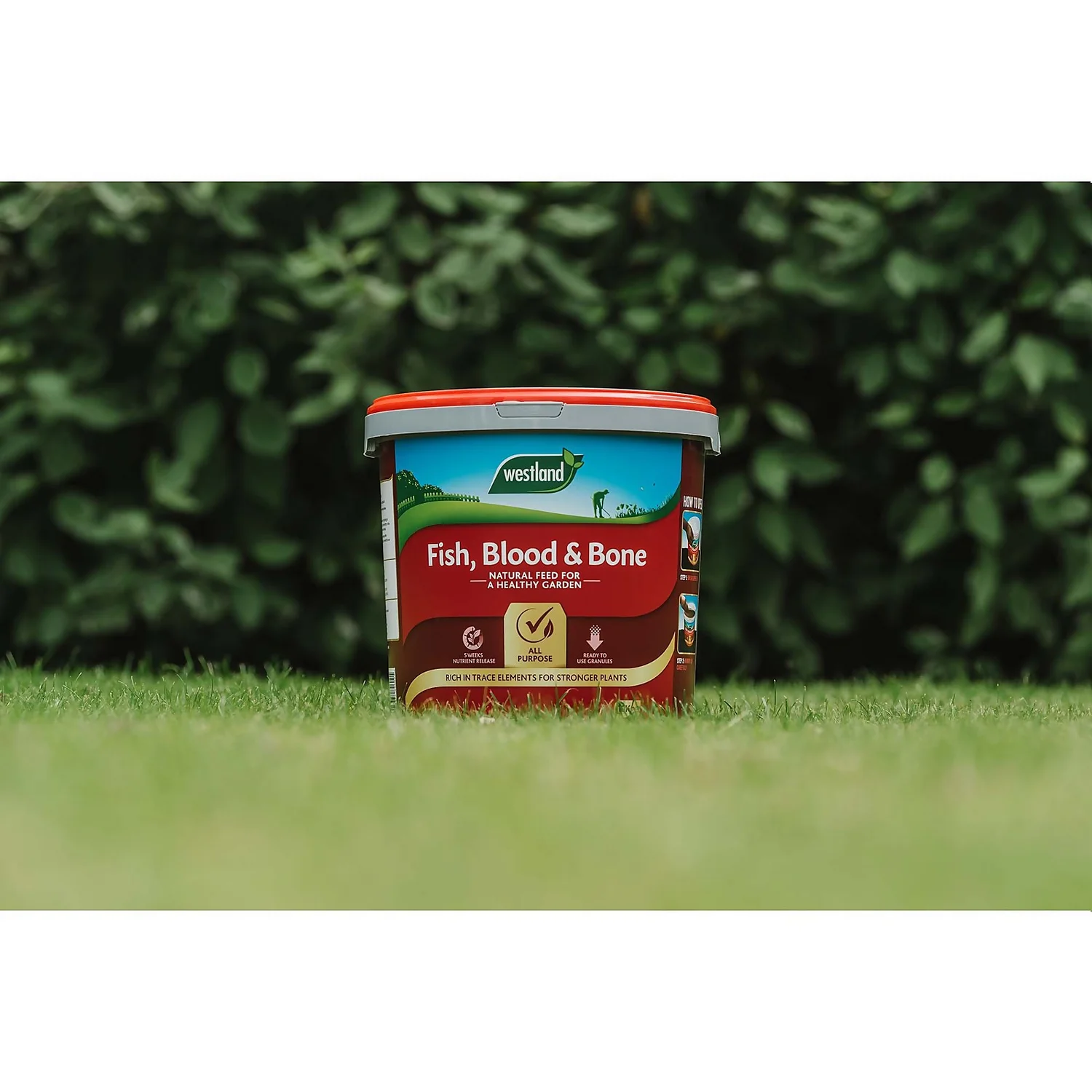 Westland Fish, Blood And Bone - 10kg 4 Westland Fish, Blood And Bone - 10kg - Image 2