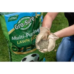 Gro-Sure Multi-Purpose Lawn Seed 375m² 7 Gro-Sure Multi-Purpose Lawn Seed 375m² -Garden Outdoor Equipment Store 12833526 1414925482132785