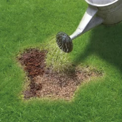 Miracle-Gro Patch Magic Grass Seed, Feed & Coir - 48 Patch Bag -Garden Outdoor Equipment Store 12841642 1784927305573390