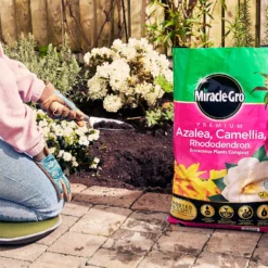 Miracle Gro Premium Azalea, Camellia & Rhododendron Ericaceous Compost - 40L -Garden Outdoor Equipment Store 12882812 1004843671886080