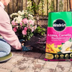 Miracle Gro Premium Azalea, Camellia & Rhododendron Ericaceous Compost - 40L -Garden Outdoor Equipment Store 12882812 1404843671956442