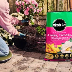 Miracle Gro Premium Azalea, Camellia & Rhododendron Ericaceous Compost - 40L -Garden Outdoor Equipment Store 12882812 1924843671918789