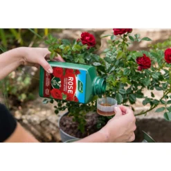 Westland Rose Specialist Liquid Plant Food Concentrate - 1l -Garden Outdoor Equipment Store 12886481 7044936610878716