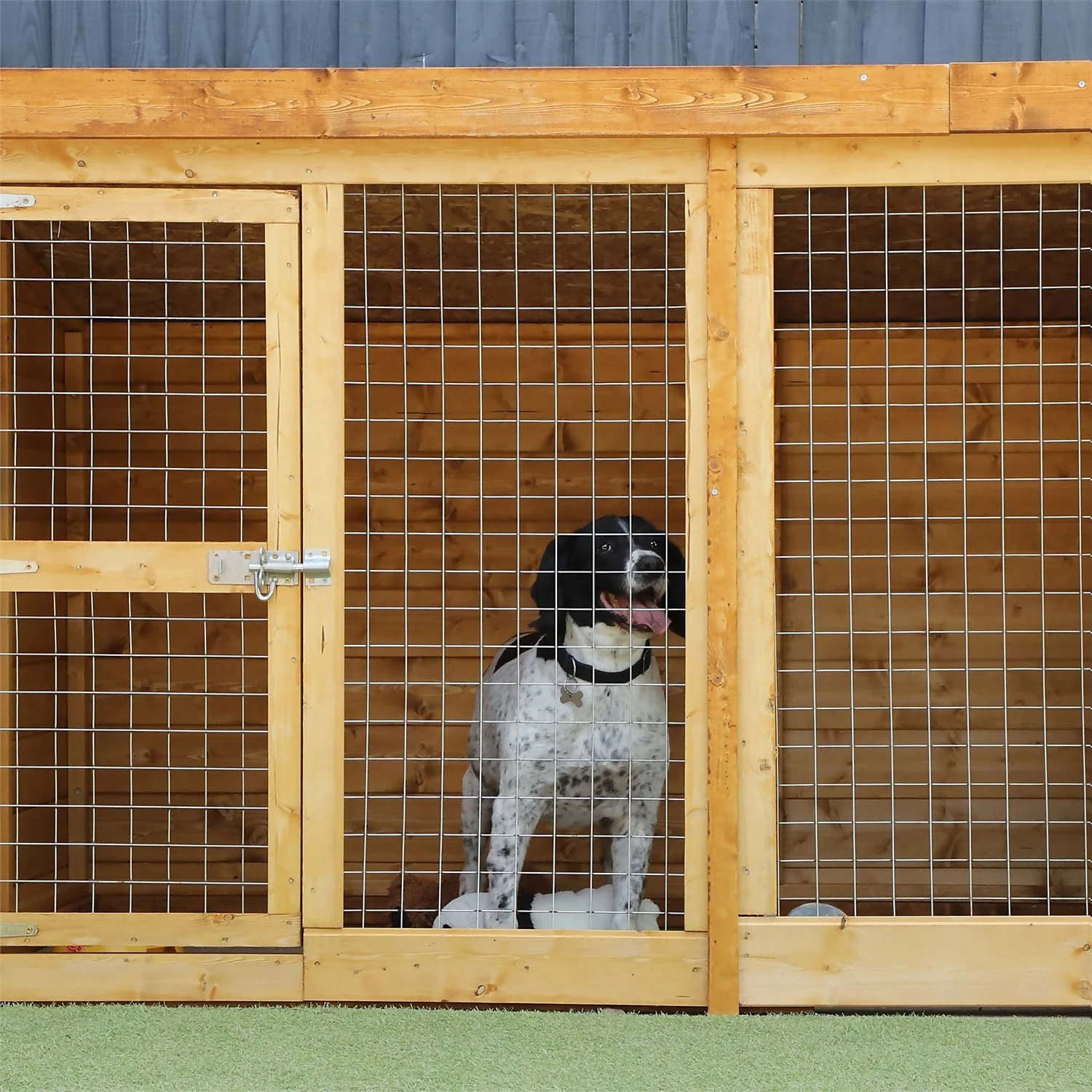 Mercia 10 X 4 Dog Kennel & Run (Installed) 6 Mercia 10 X 4 Dog Kennel & Run (Installed) - Image 4