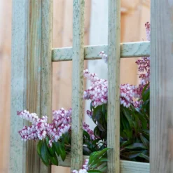 Mercia Curved Arch -Garden Outdoor Equipment Store 12888302 6134849860614286