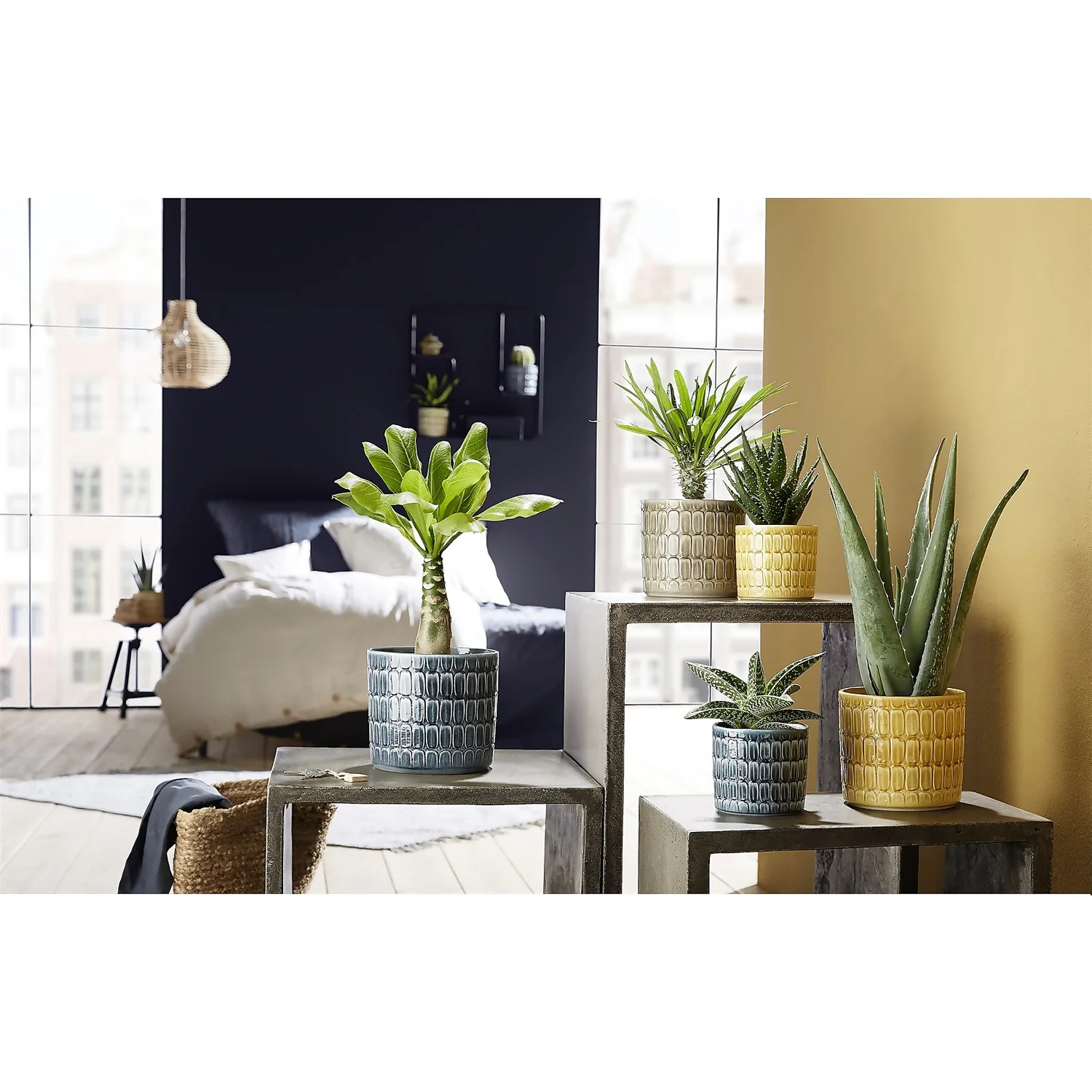 Alma Ceramic Pot - 10cm 4 Alma Ceramic Pot - 10cm - Image 2