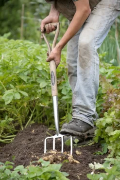Spear & Jackson Traditional Stainless Digging Fork 15 Spear & Jackson Traditional Stainless Digging Fork -Garden Outdoor Equipment Store 12904675 1274851072244143