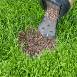 Miracle-Gro Patch Magic Dog Spot Repair Grass Seed - 130 Spots 8 Miracle-Gro Patch Magic Dog Spot Repair Grass Seed - 130 Spots -Garden Outdoor Equipment Store 13130959 1924895338154127