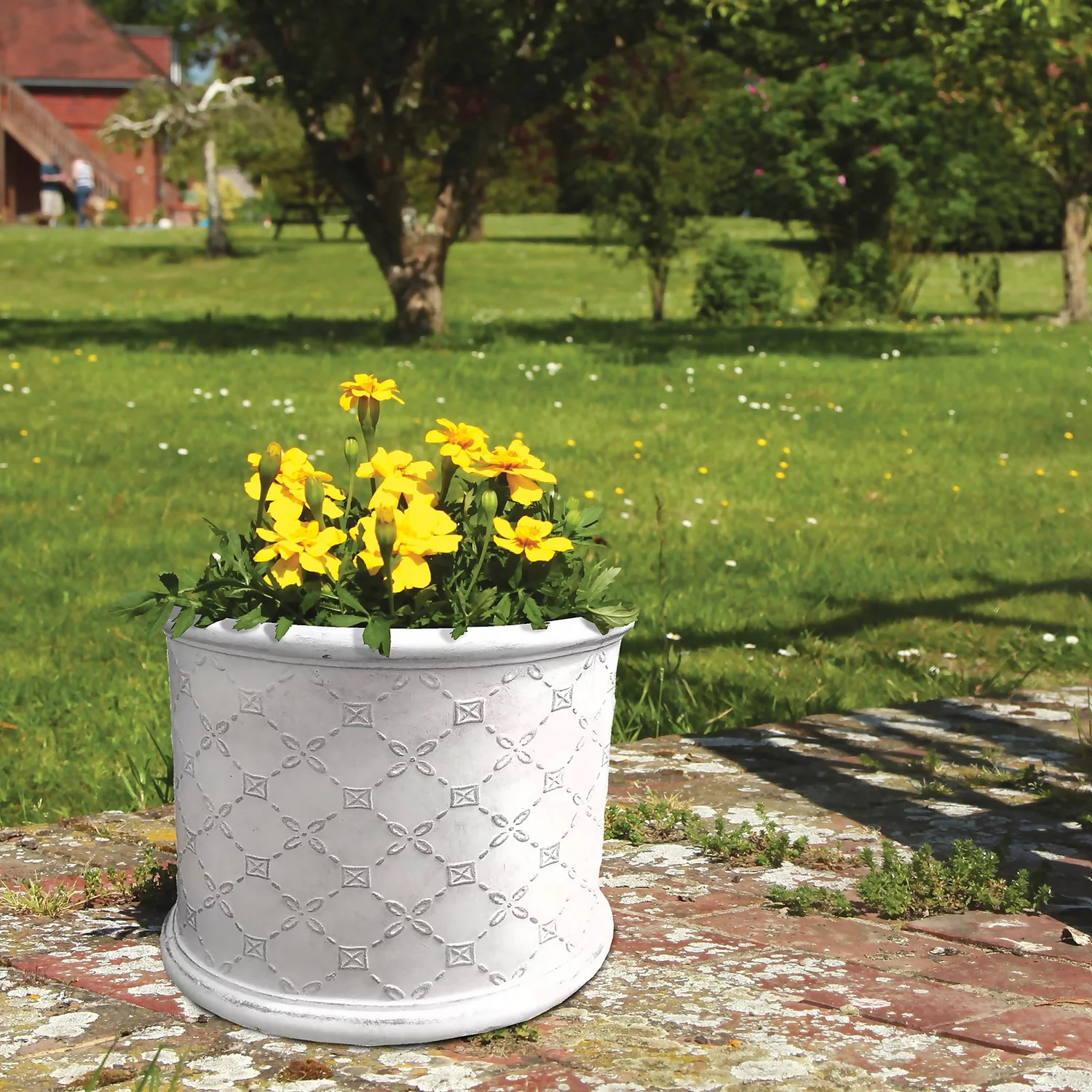 Mayfair Antique White Cylinder Plant Pot - 38cm 4 Mayfair Antique White Cylinder Plant Pot - 38cm - Image 2