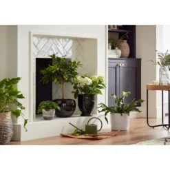 Perla White Plant Pot - 18cm 8 Perla White Plant Pot - 18cm -Garden Outdoor Equipment Store 13432918 8224948242882018