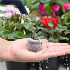 Coco & Coir Seed Germination Dots - 40mm 9 Coco & Coir Seed Germination Dots - 40mm -Garden Outdoor Equipment Store 13487129 3894919981363337