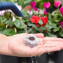 Coco & Coir Seed Germination Dots - 40mm 10 Coco & Coir Seed Germination Dots - 40mm -Garden Outdoor Equipment Store 13487129 7814919981385408