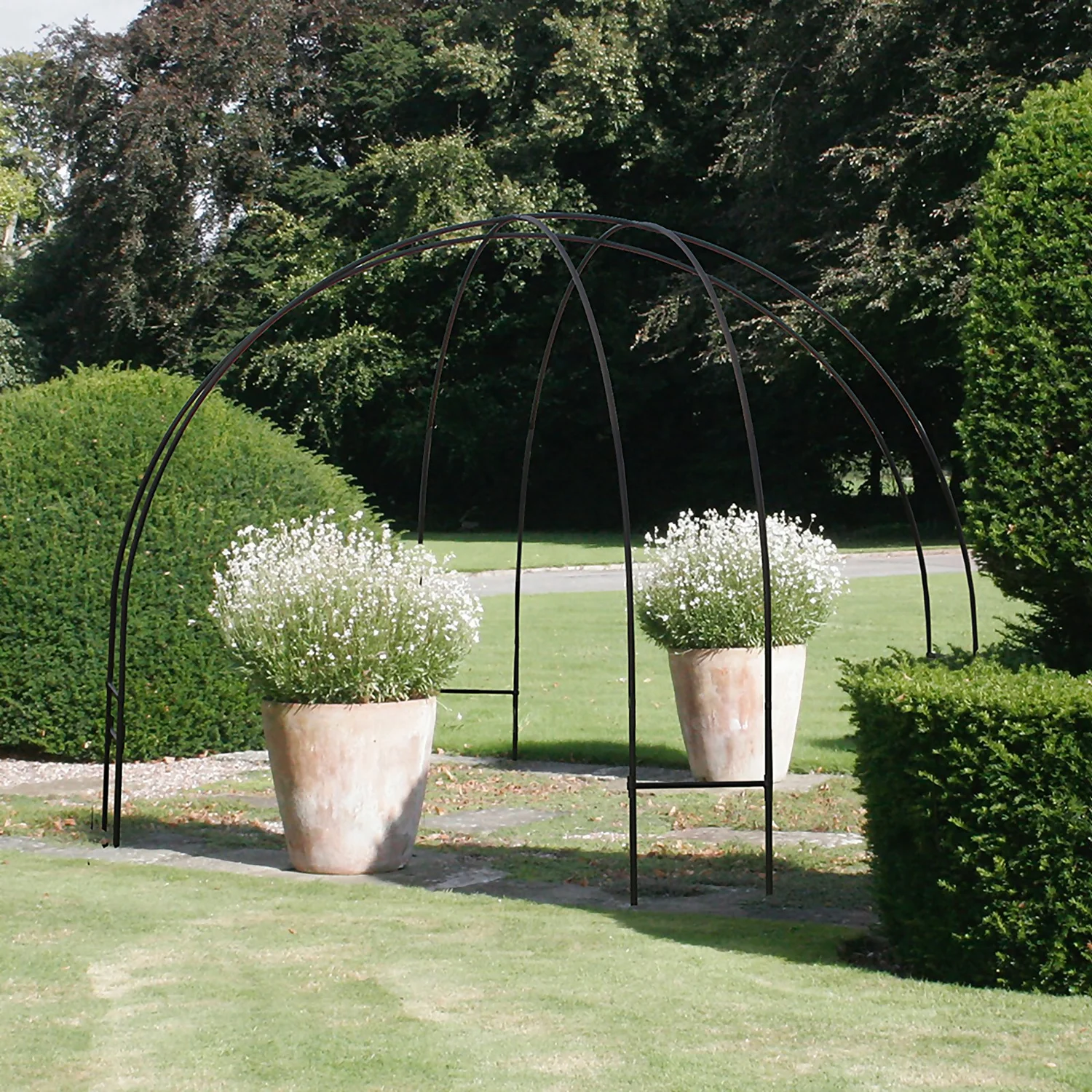 Agriframes Contemporary Black Garden Dome Plant Structure 4 Agriframes Contemporary Black Garden Dome Plant Structure - Image 2
