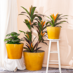 Glazed Finish Planter Mustard 40cm -Garden Outdoor Equipment Store 13928632 1075001956273763