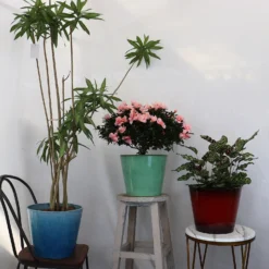 Glazed Finish Planter Mustard 40cm -Garden Outdoor Equipment Store 13928632 3495001956393211