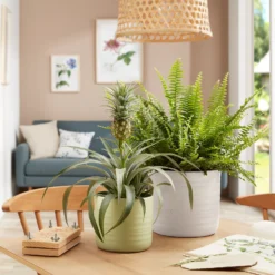 Scheurich Ripple White Indoor Pot - 12cm -Garden Outdoor Equipment Store 13953257 8024987119903048