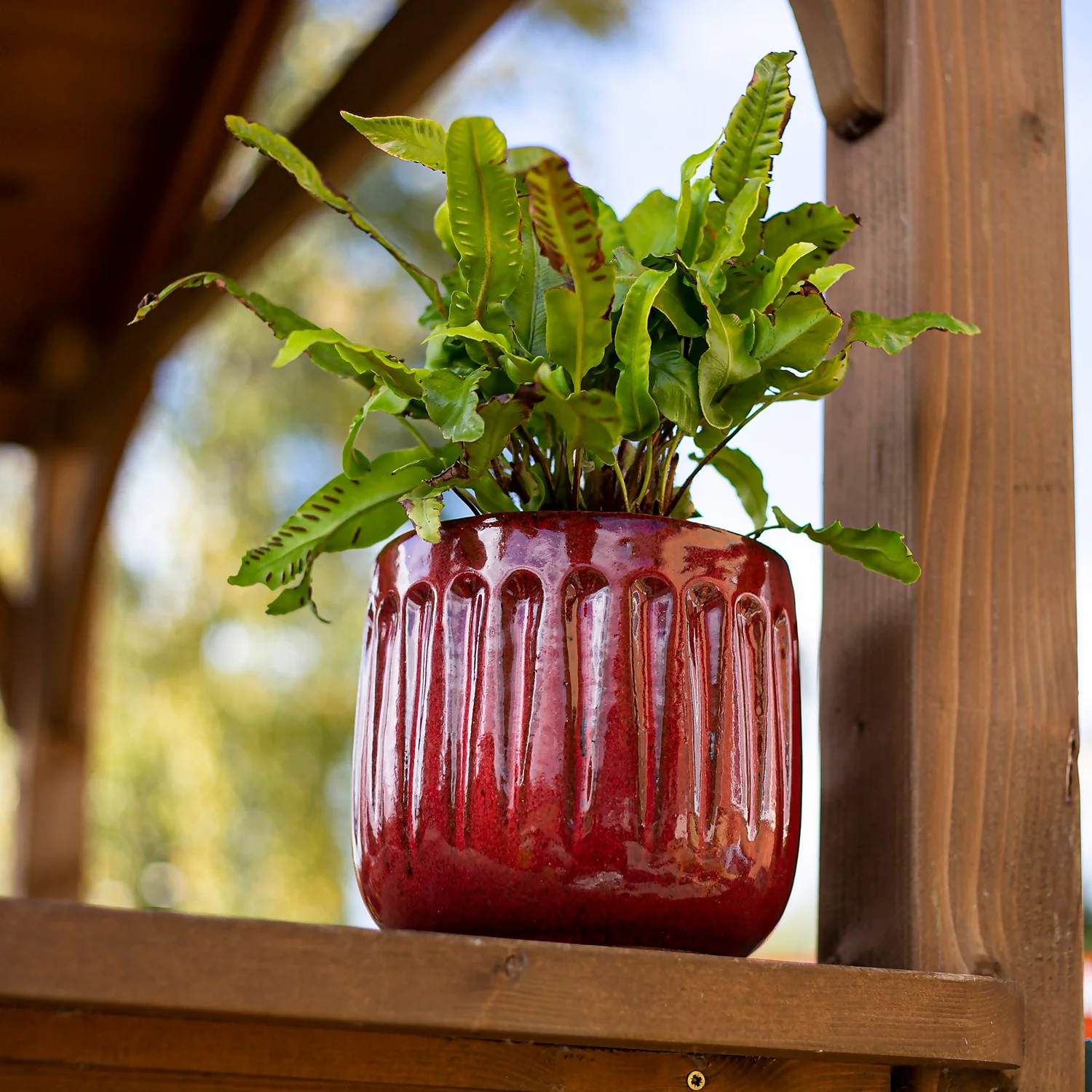 Chiswick Running Pot Red - 24cm 5 Chiswick Running Pot Red - 24cm - Image 3