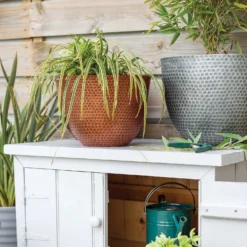 Best Seller -Garden Outdoor Equipment Store 13973652 1145011805950221