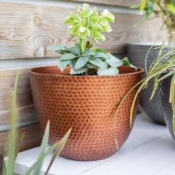 Suva Hammered Pot Copper - 31cm -Garden Outdoor Equipment Store 13973652 1715011805989134
