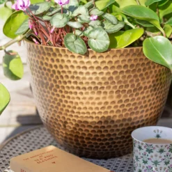 Suva Hammered Pot Bronze - 31cm -Garden Outdoor Equipment Store 13973654 7605011805627355