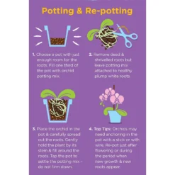 Westland Orchid Potting Mix Peat Free 8L -Garden Outdoor Equipment Store 14013784 4815003754410304