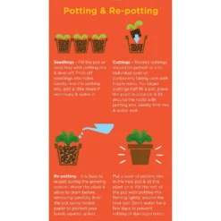 Westland Cacti & Succulent Potting Mix Peat Free 4L -Garden Outdoor Equipment Store 14013786 1245003754031248