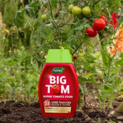 Westland Big Tom Super Tomato Food -Garden Outdoor Equipment Store 14013789 1265003754036822