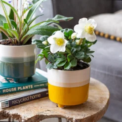 Two Tone Ombre Indoor Plant Pot - 12cm -Garden Outdoor Equipment Store 14197407 1345024191288365