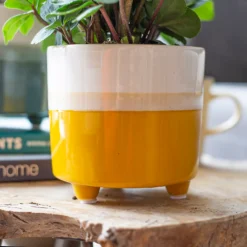 Two Tone Ombre Indoor Plant Pot - 12cm -Garden Outdoor Equipment Store 14197407 3655024191436277