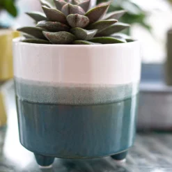 Two Tone Ombre Indoor Plant Pot - 12cm -Garden Outdoor Equipment Store 14197407 8595024191498422