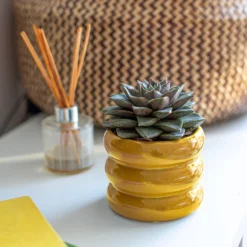 Ribbed Indoor Plant Pot - 11cm 14 Ribbed Indoor Plant Pot - 11cm -Garden Outdoor Equipment Store 14197409 1165024191339590