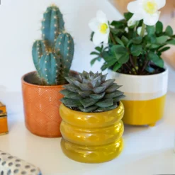 Ribbed Indoor Plant Pot - 11cm 17 Ribbed Indoor Plant Pot - 11cm -Garden Outdoor Equipment Store 14197409 5925024191500561