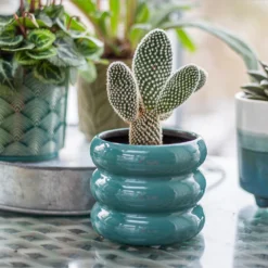 Ribbed Indoor Plant Pot - 11cm 15 Ribbed Indoor Plant Pot - 11cm -Garden Outdoor Equipment Store 14197409 6435024191381575